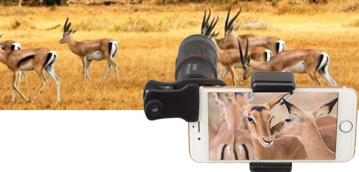 Lenses for Smartphones